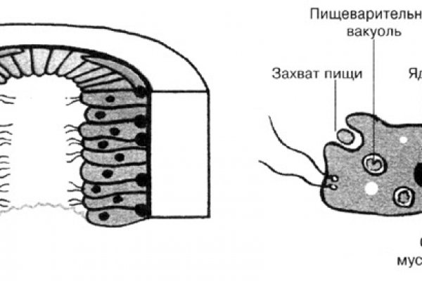 Сайт blacksprut ссылка регистрация