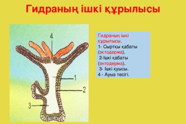 Как выиграть в рулетку на blacksprut